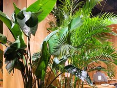 -1861意大利餐厅(文化广场店)