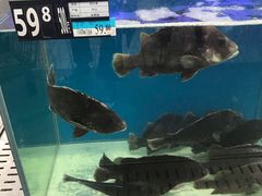 -沃尔玛(摩尔广场店)