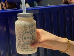-野萃山·潮汕厚果汁(十亩地店)