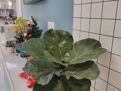 -柏萃动物医院·骨科·牙科