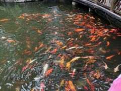 -南山植物园