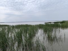 -卧龙湖