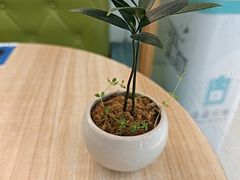 -轻蔬不用等·素食(江苏路店)