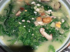 上汤桑叶苗-大榕树下顺德菜(融创茂店)