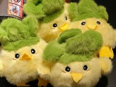 -知楚•精致湖北菜(武商MALL店)