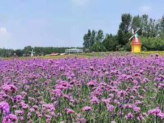 -北纬44度·金珠花海休闲农业旅游景区