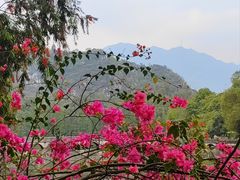-星湖旅游景区七星岩