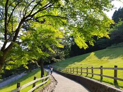 -神户市立六甲山牧场