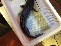 -野山舂·贵州现舂酸汤火锅(鸿通城店)