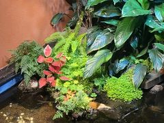 -隐炉和牛烧肉店(群力店)