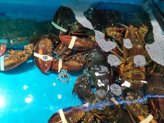 -学府海鲜批发市场