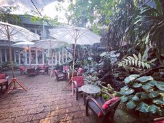 -Fern Forest Cafe