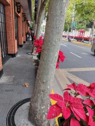 -亨生西服(陕西北路店)