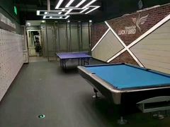 -金吉鸟健身游泳