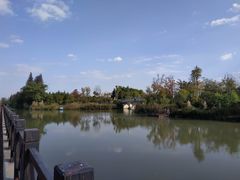 -上海长兴岛郊野公园