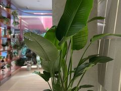 -二酉书店TOYOU BOOKS