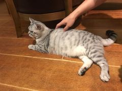 -H立方实景剧情密室(天河旗舰店)
