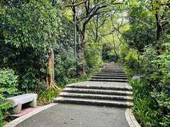 -广州市白云山风景名胜区