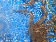 -三亚火车头万人海鲜广场