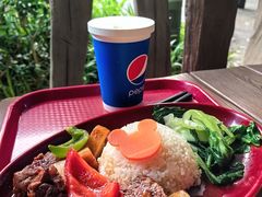 炖牛肉笋块和米饭-Tangled Tree Tavern 老藤树食栈