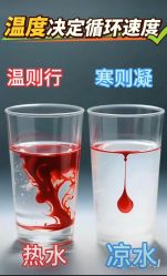 -克丽缇娜