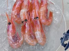 -黑松白鹿(金融街店)