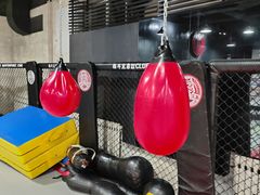 -格斗兄弟搏击健身训练馆(望京店)