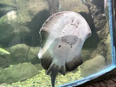 -苏州海洋馆