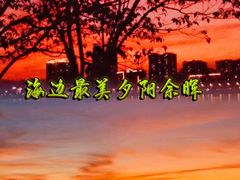 -深圳湾公园(南山区)