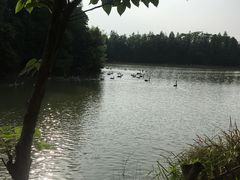 -艾溪湖湿地公园