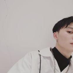 -蚂蚁造型沙龙