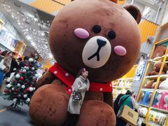 -line friends(明洞旗舰店)