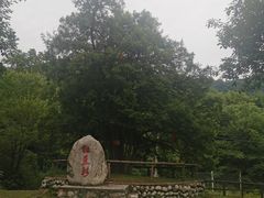 -青峰峡国家森林公园