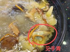 -草墩罗非鱼庄•野生菌•腊排骨(七星街上段店)