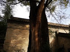 -西安关中民俗艺术博物院