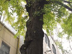 -中国太平洋保险股份有限公司(闵行店)