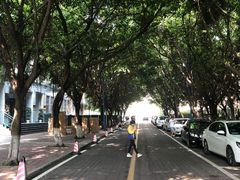-西南政法大学(渝北校区)