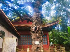 -昆明市金殿名胜区