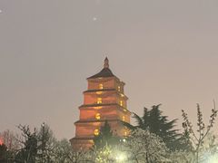 -大雁塔北广场音乐喷泉