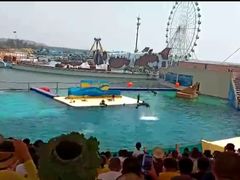 -秦皇岛乐岛海洋王国