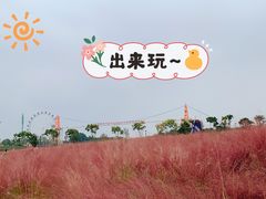 -花博汇(知音花月夜)