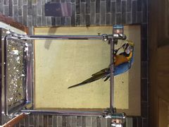 那家小馆(中关村店)-那家小馆•北京菜•烤鸭(中关村店)