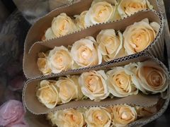 -三圣花乡旅游区