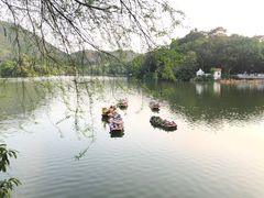 -深圳仙湖植物园