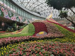 -花之城