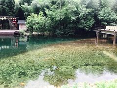 -泰州凤城河风景区-泰山公园