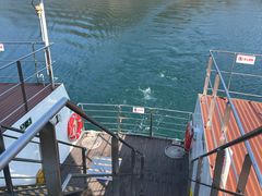 -千峡湖生态旅游度假区