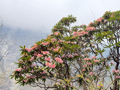 -九峰山