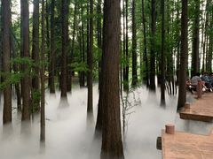 -东湖落雁景区