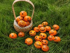 -上海市闵行区哈哈幼稚园